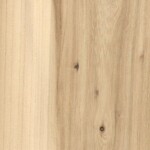 elm elm
