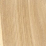 hickory hickory