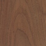 walnut walnut