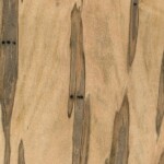 wormy maple wormy maple